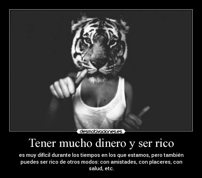 Tener mucho dinero y ser rico -