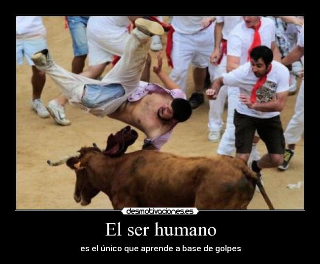 El ser humano - es el único que aprende a base de golpes