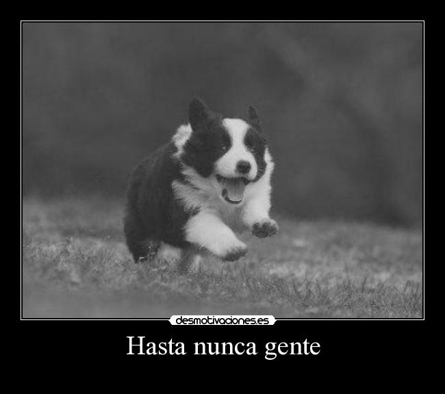 Hasta nunca gente -