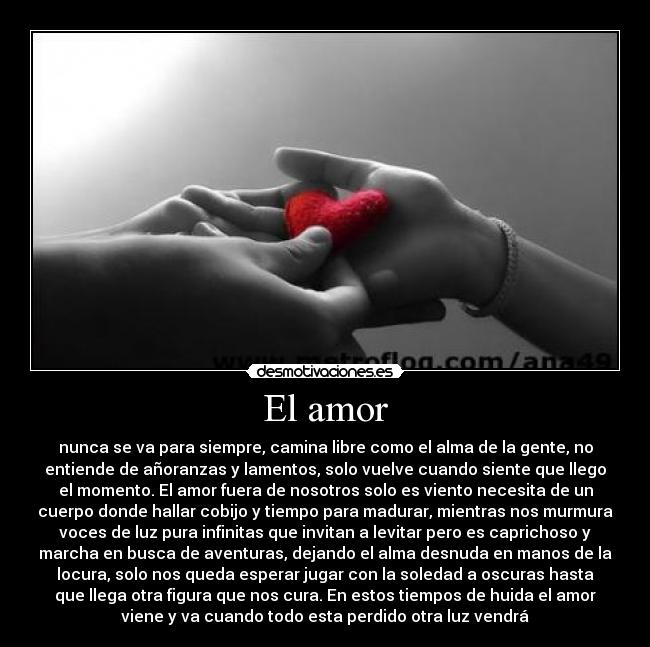 El amor - nunca se va para siempre, camina libre como el alma de la gente, no
entiende de añoranzas y lamentos, solo vuelve cuando siente que llego
el momento. El amor fuera de nosotros solo es viento necesita de un
cuerpo donde hallar cobijo y tiempo para madurar, mientras nos murmura
voces de luz pura infinitas que invitan a levitar pero es caprichoso y
marcha en busca de aventuras, dejando el alma desnuda en manos de la
locura, solo nos queda esperar jugar con la soledad a oscuras hasta
que llega otra figura que nos cura. En estos tiempos de huida el amor
viene y va cuando todo esta perdido otra luz vendrá