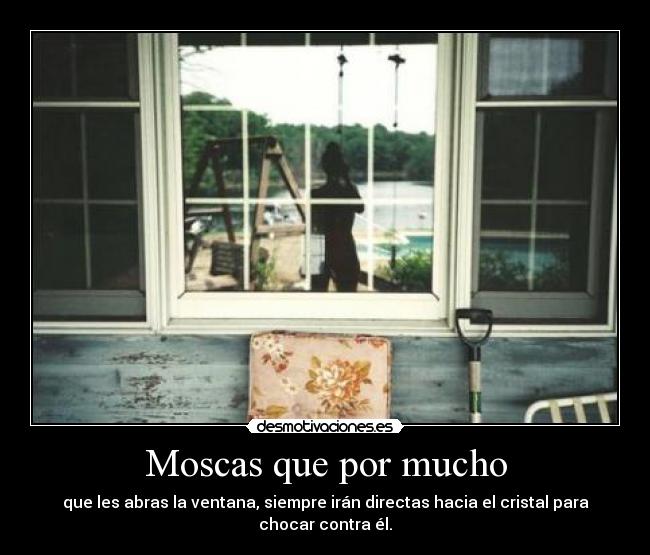 Moscas que por mucho - 