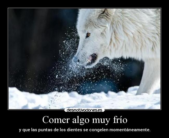 carteles rogertuba resubido porque cajadegambas pegaria porque puse frio sin acento desmotivaciones