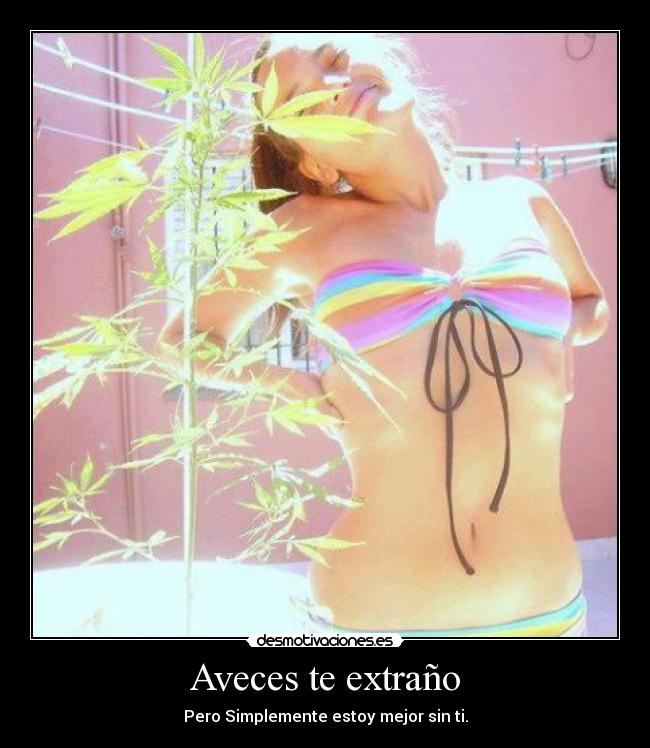 Aveces te extraño - Pero Simplemente estoy mejor sin ti.