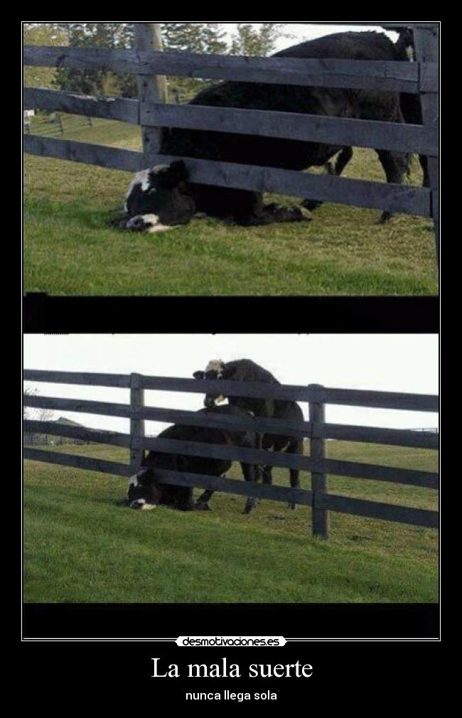 La mala suerte - nunca llega sola