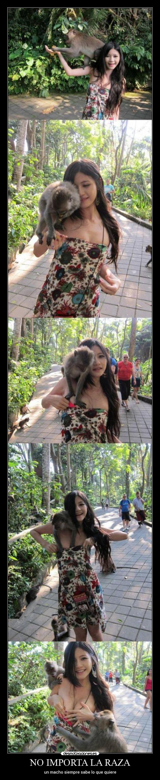 NO IMPORTA LA RAZA - un macho siempre sabe lo que quiere