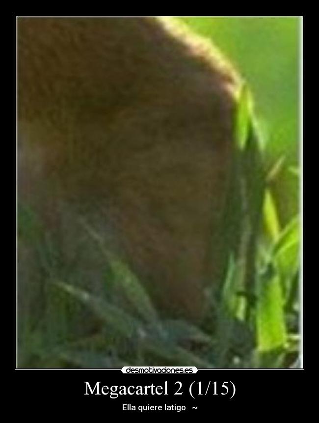 Megacartel 2 (1/15) - Ella quiere latigo ♪ ~