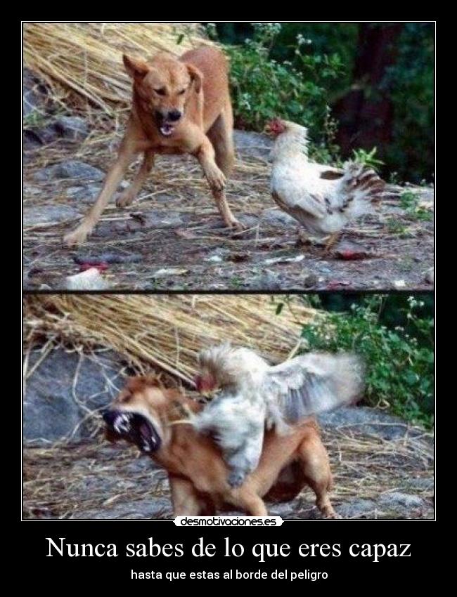 Nunca sabes de lo que eres capaz - hasta que estas al borde del peligro