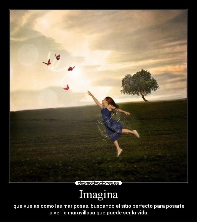 carteles welcomehome borrare por cartel sin sentido tendria que existir esa denuncia desmotivaciones