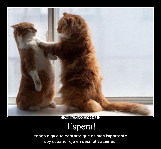 Espera! - tengo algo que contarte que es mas importante
soy usuario rojo en desmotivaciones !