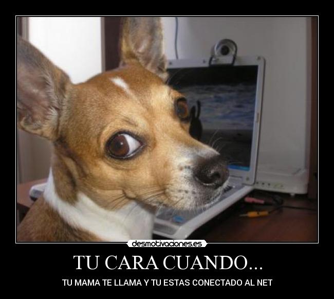 TU CARA CUANDO... - TU MAMA TE LLAMA Y TU ESTAS CONECTADO AL NET