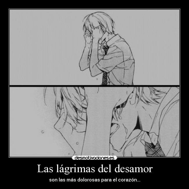 Las lágrimas del desamor -