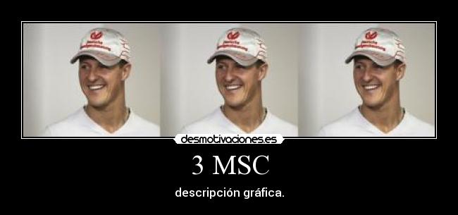 3 MSC - descripción gráfica.