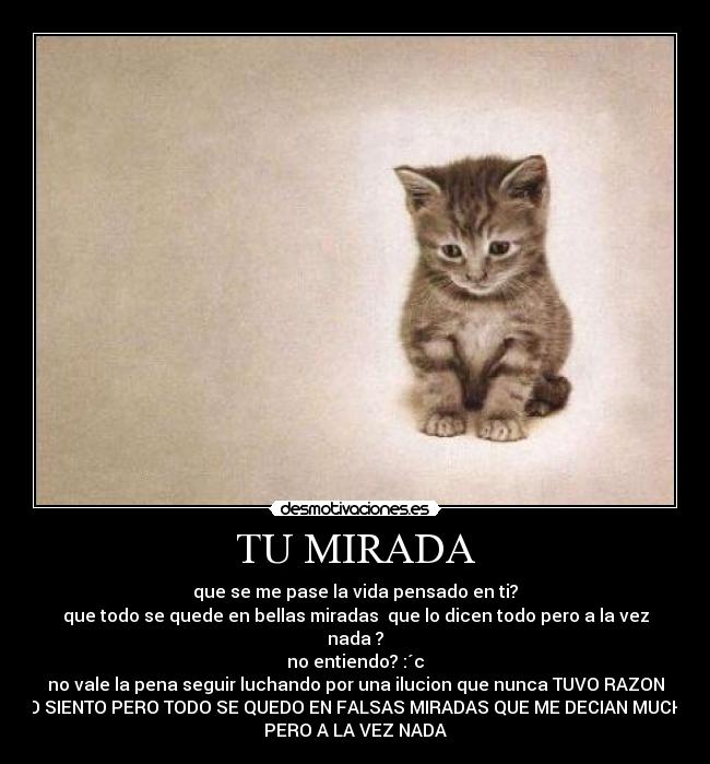 carteles sazuka desmotivaciones