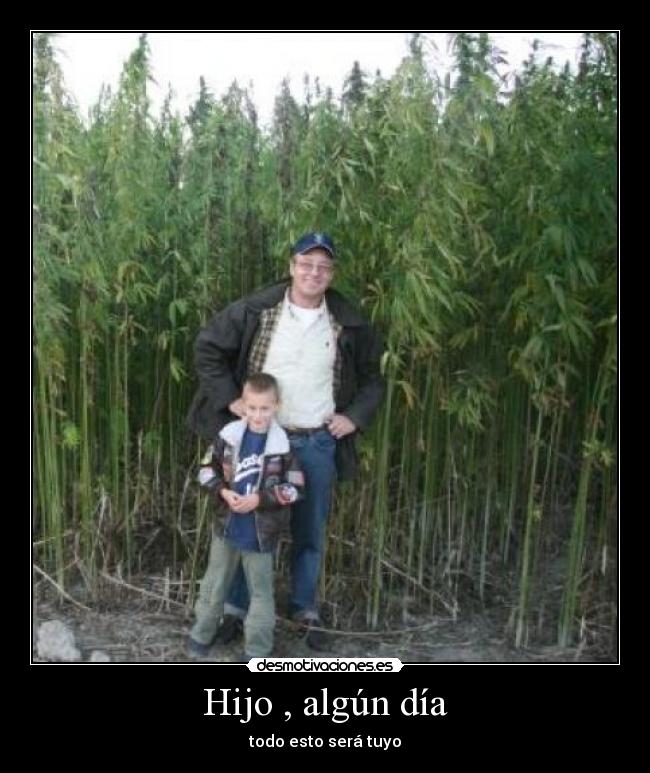 Hijo , algún día - todo esto será tuyo