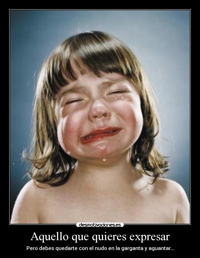 carteles anzorry desmotivaciones