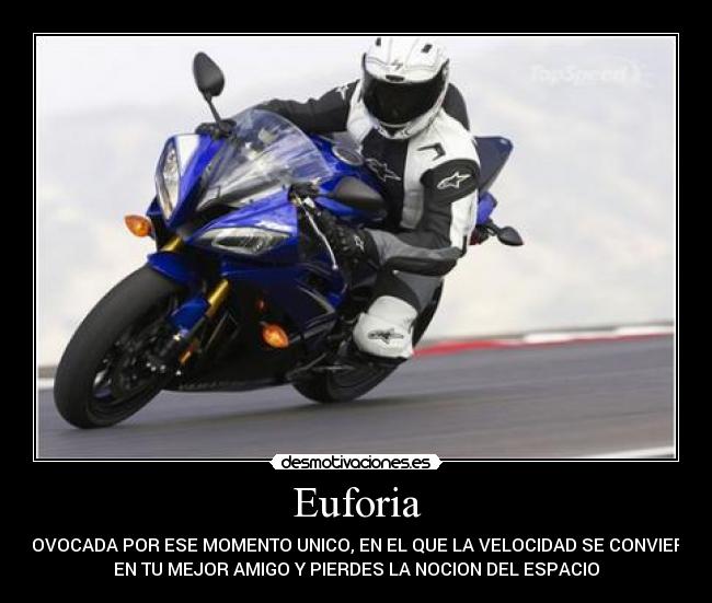 carteles pipi cofico desmotivaciones