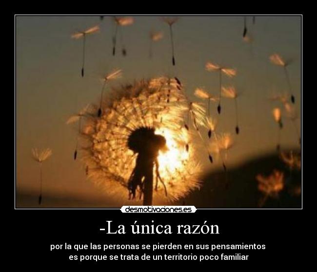 -La única razón - por la que las personas se pierden en sus pensamientos
es porque se trata de un territorio poco familiar