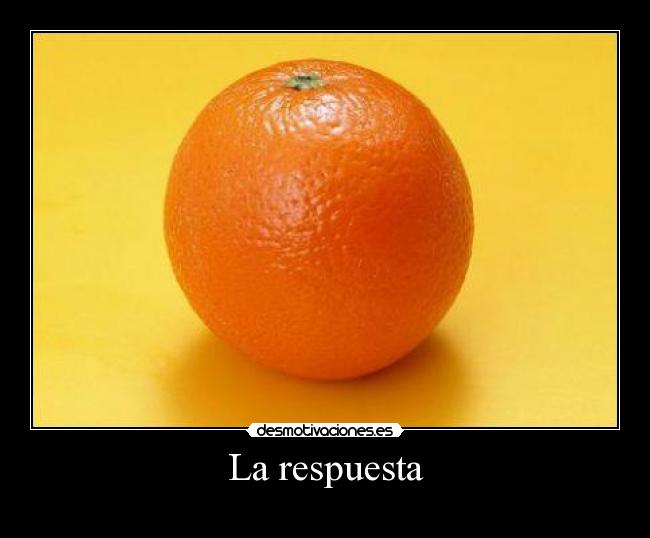 La respuesta - 