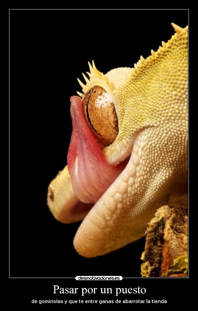 Pasar por un puesto - de gominolas y que te entre ganas de abarrotar la tienda