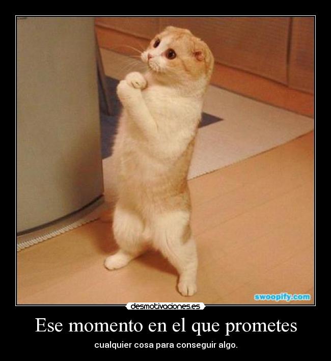 Ese momento en el que prometes -