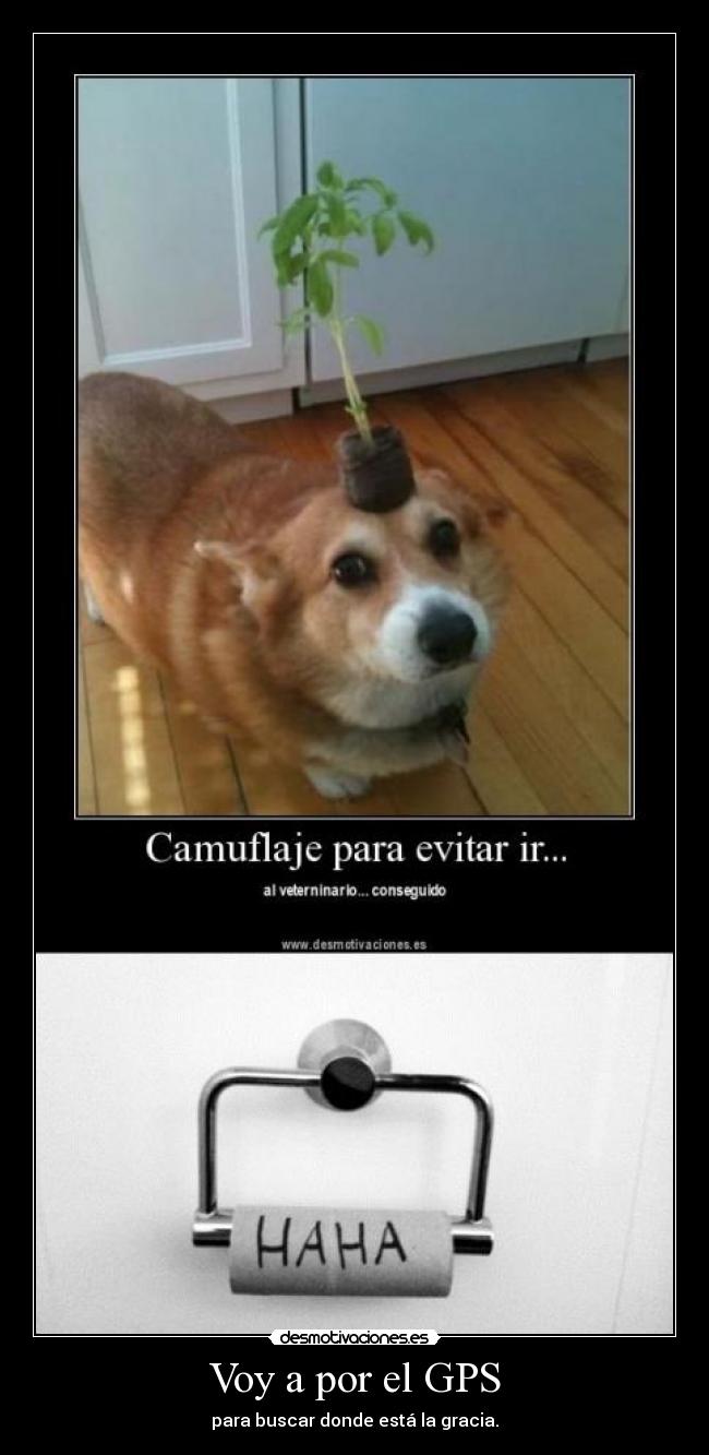 Voy a por el GPS - para buscar donde está la gracia.