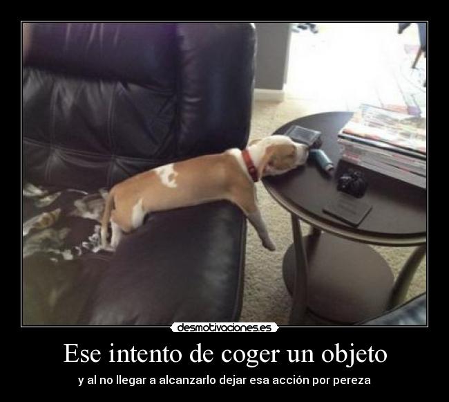Ese intento de coger un objeto - y al no llegar a alcanzarlo dejar esa acción por pereza