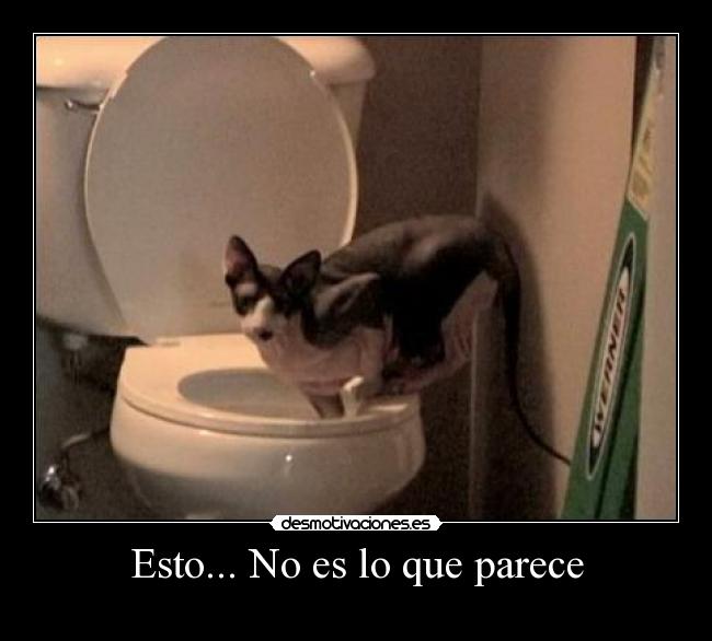 Esto... No es lo que parece -