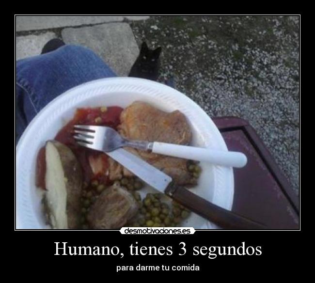 Humano, tienes 3 segundos - 