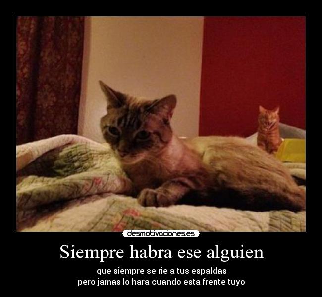 Siempre habra ese alguien - 