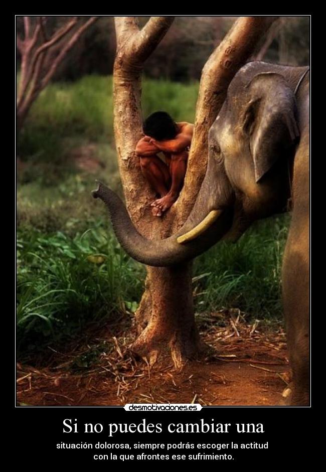 Si no puedes cambiar una - 