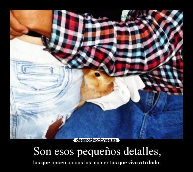 Son esos pequeños detalles, - 