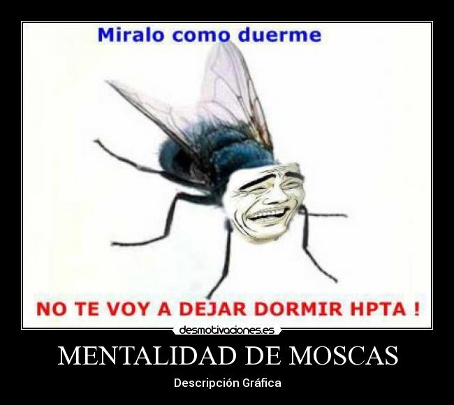 MENTALIDAD DE MOSCAS - Descripción Gráfica