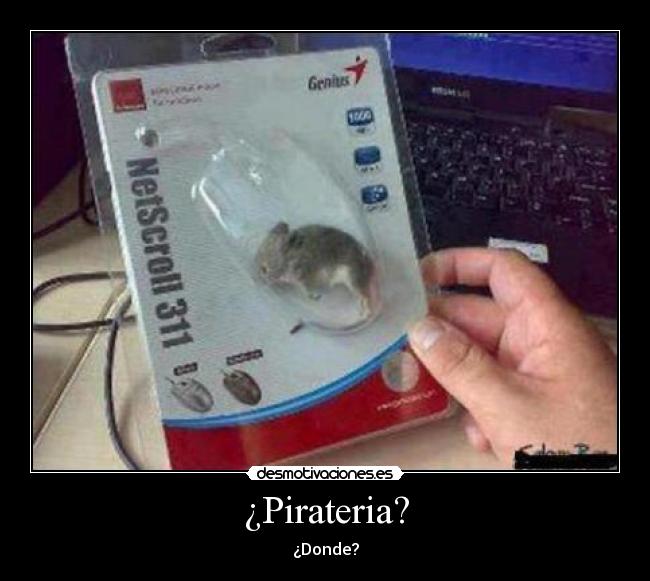 ¿Pirateria? - ¿Donde?