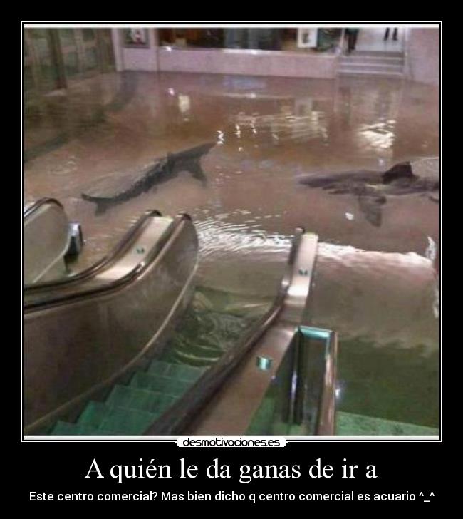 A quién le da ganas de ir a - Este centro comercial? Mas bien dicho q centro comercial es acuario ^_^