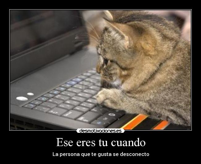 Ese eres tu cuando -