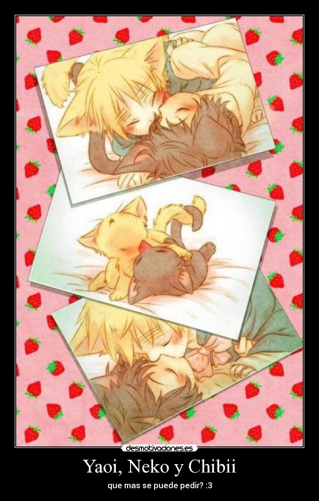 Yaoi, Neko y Chibii -