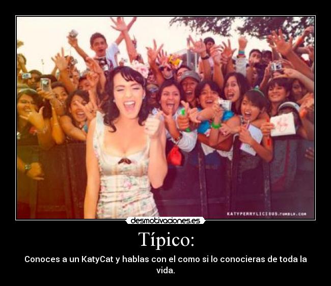 Típico: - Conoces a un KatyCat y hablas con el como si lo conocieras de toda la vida.