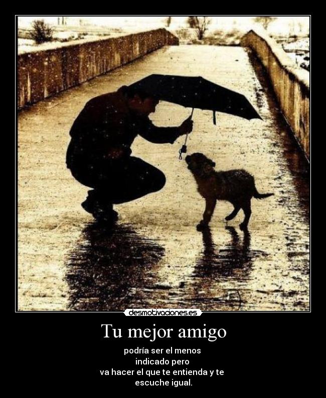 Tu mejor amigo - podría ser el menos
indicado pero
va hacer el que te entienda y te
escuche igual.