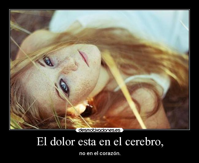 El dolor esta en el cerebro, - no en el corazón.