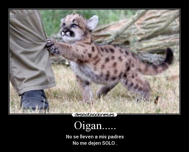 Oigan..... - No se lleven a mis padres
No me dejen SOLO .