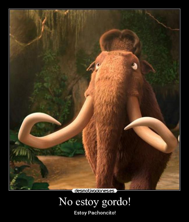 No estoy gordo! - 