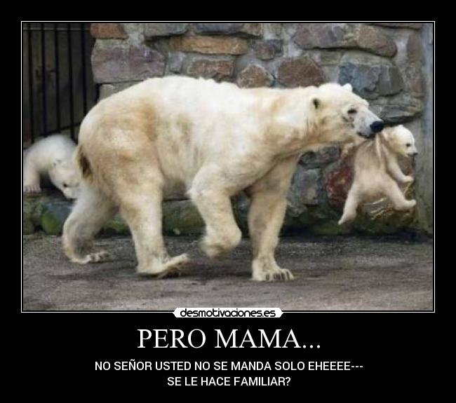 PERO MAMA... - NO SEÑOR USTED NO SE MANDA SOLO EHEEEE---
SE LE HACE FAMILIAR?