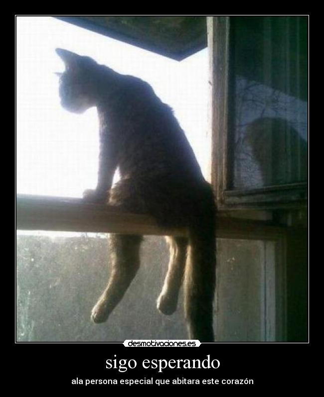 sigo esperando -