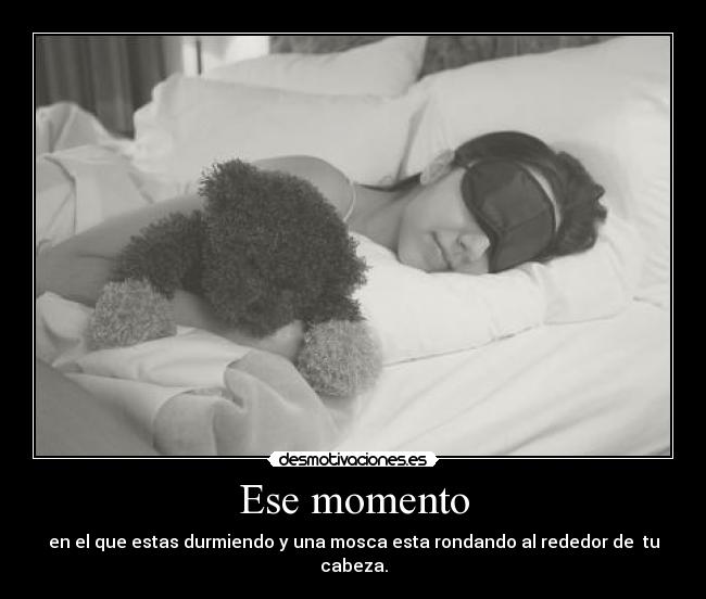 Ese momento - en el que estas durmiendo y una mosca esta rondando al rededor de  tu cabeza.