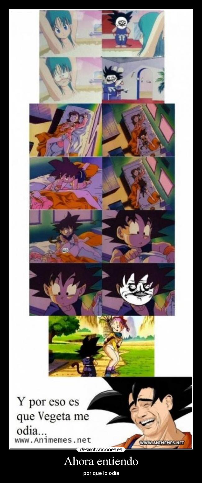 Ahora entiendo - por que lo odia