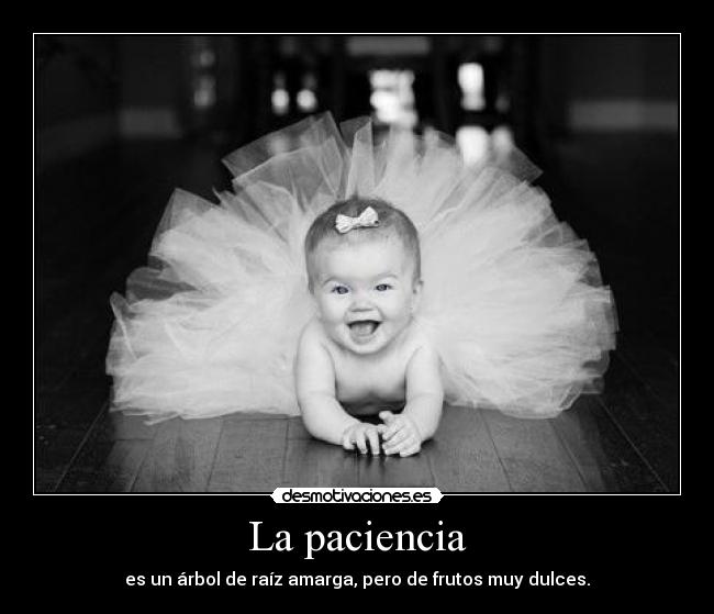 La paciencia - es un árbol de raíz amarga, pero de frutos muy dulces.
