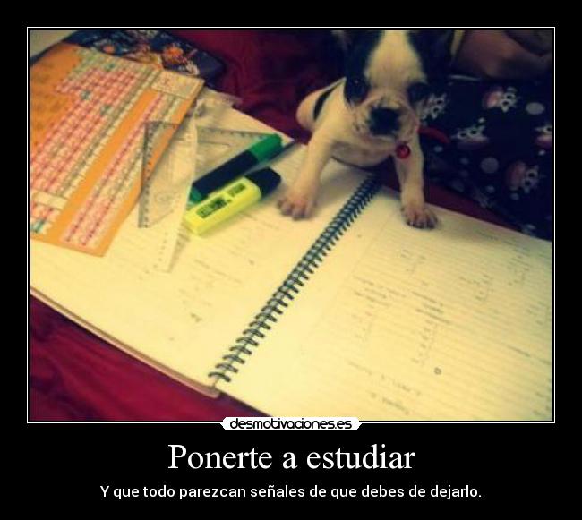 Ponerte a estudiar -