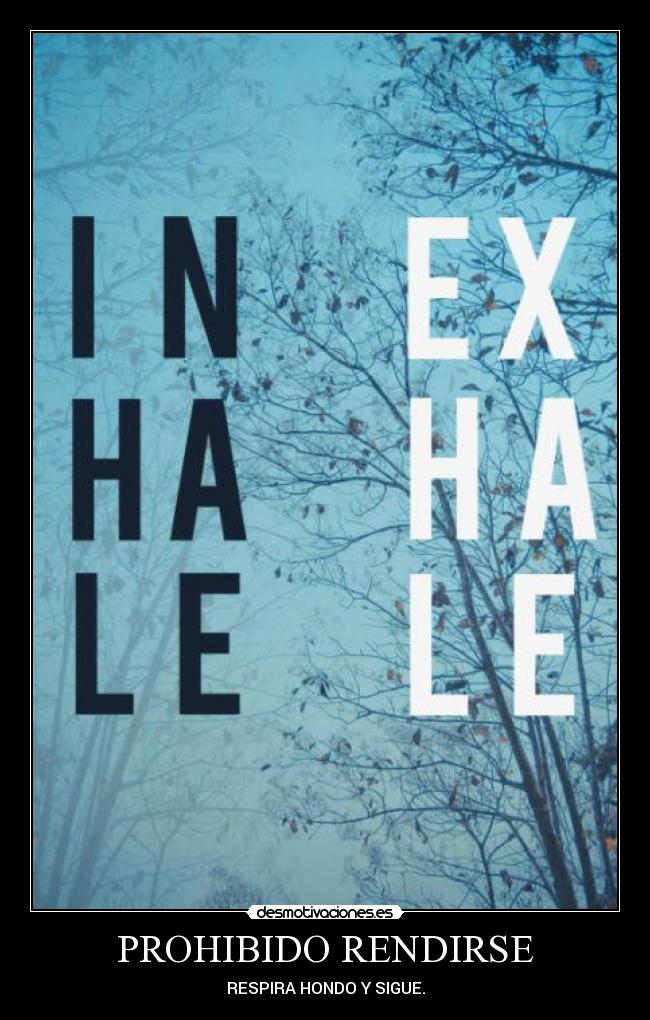 PROHIBIDO RENDIRSE - RESPIRA HONDO Y SIGUE.