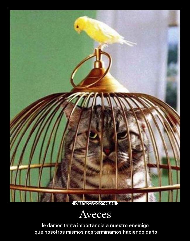 Aveces - le damos tanta importancia a nuestro enemigo
que nosotros mismos nos terminamos haciendo daño