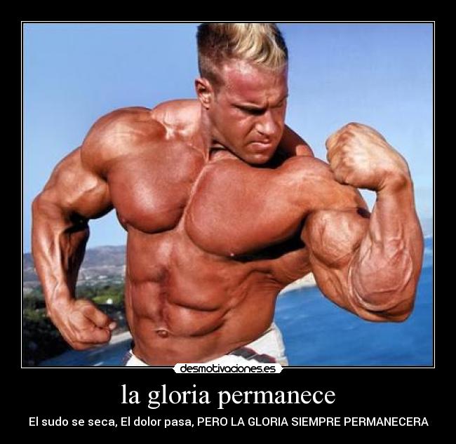 carteles floria desmotivaciones